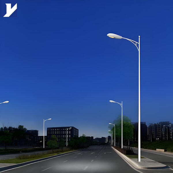 60W Outdoor LED Street Lamp Price