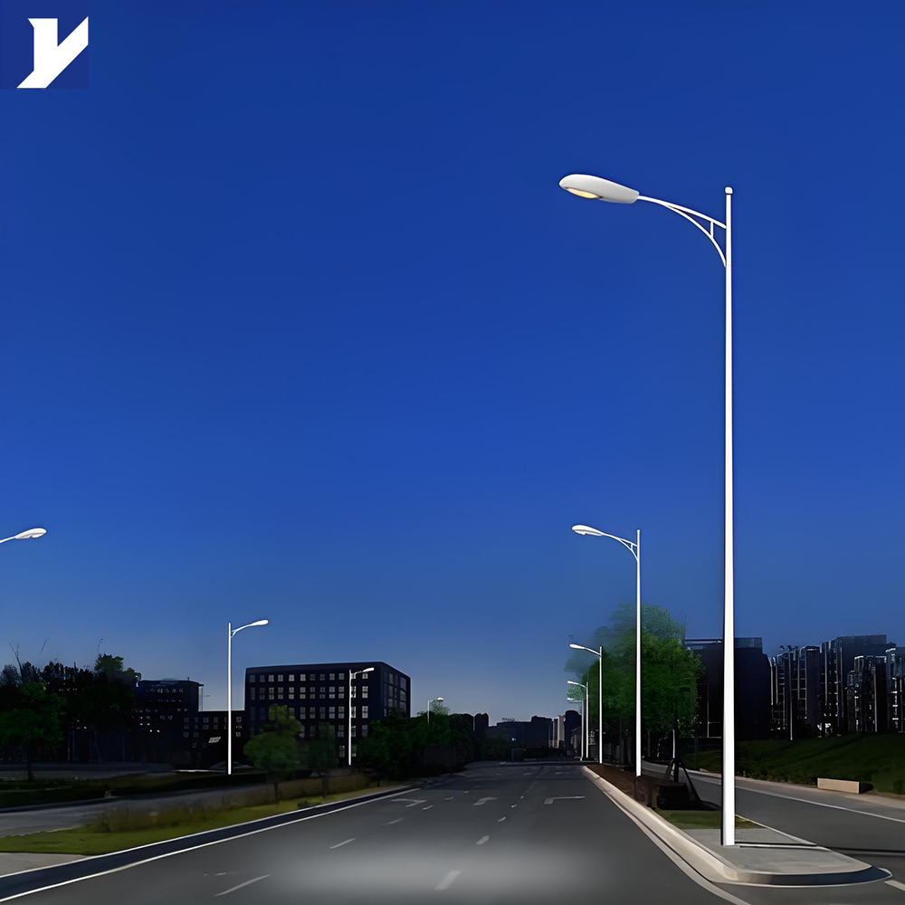 60W Outdoor LED Street Lamp Price