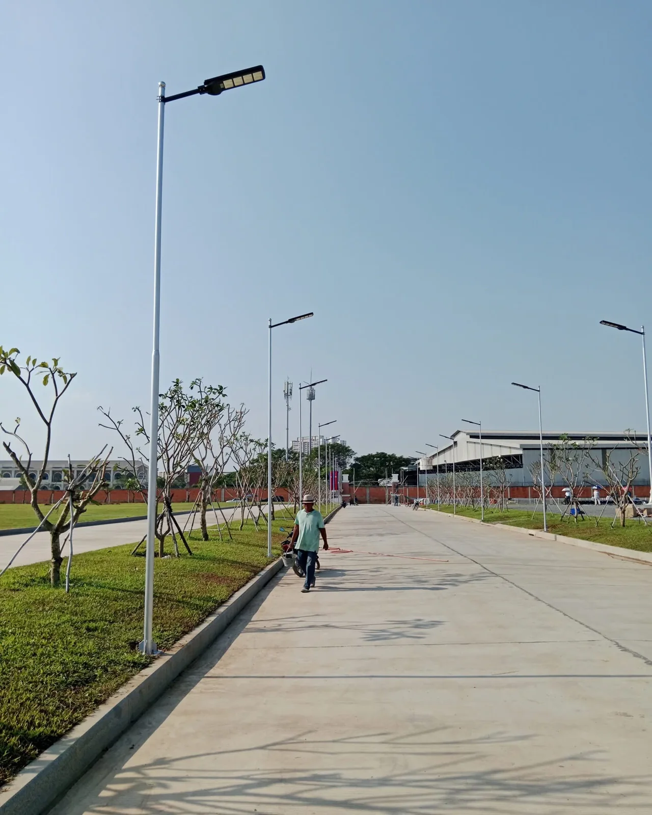 Solar street lights along a road